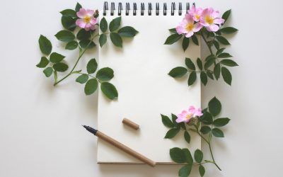 Cómo mejorar tu forma de aprender