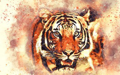 ¿Estás preparado para enfrentar a tu tigre?